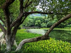 -八卦田遗址公园