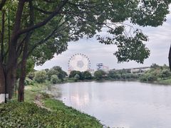 -七桥瓮公园