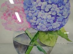 彩铅-八哥美术·成人美术画室(总校区)