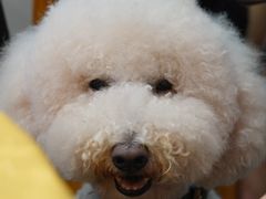 -大戚饭店(泰华路店)