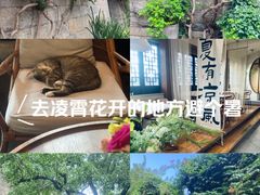 -回龙窝历史文化街区