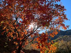 -鹫峰国家森林公园