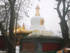 -护国法轮寺
