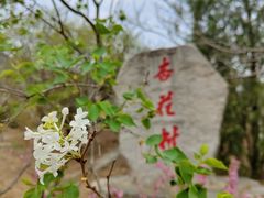 -北京凤凰岭