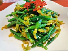 乳瓜苗-赵小姐丨新中餐(曲江店)