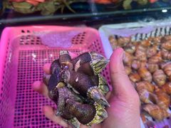 -旺达·福州菜(正大广场店)