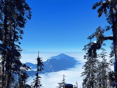 -瓦屋山景区