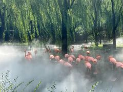 -石家庄市动物园