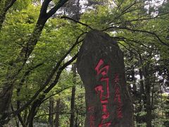 -庐山风景区花径公园