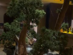 -素可汤泉(天宝大厦店)