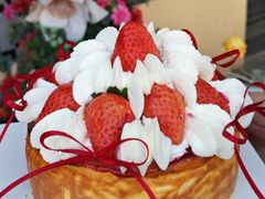 -Dark Horse·黑马蛋糕·低脂·低糖淡奶(金匙望湖大厦店)