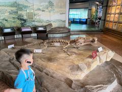 -自贡恐龙博物馆