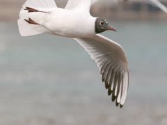-黄河三峡风景名胜区