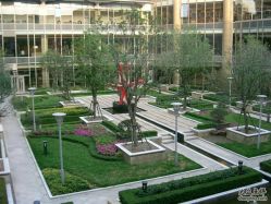 CIMG5016-上海浦东喜来登由由大酒店·宴会厅