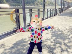 -苏州河梦清园环保主题公园