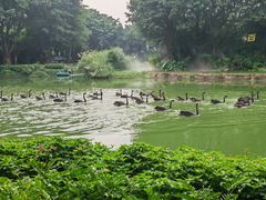 -广州长隆飞鸟乐园