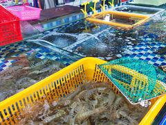 -鸿港海鲜批发市场