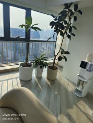 -HEYAN荷妍专业脱毛连锁机构