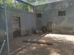 -银川动物园