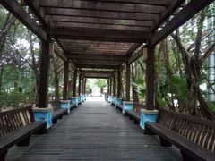 -瑰丽酒店·海吧·天际下午茶·现场DJ·天台酒吧