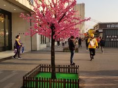 -桂桂茶(金谊广场店)