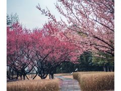 -白塘生态植物园