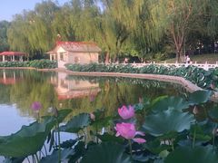 -丰台花园