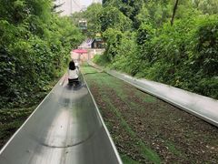-富斯特索道