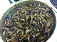 鸭舌-老枝花卤(玉林店)