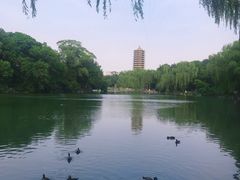 -北大家园食堂