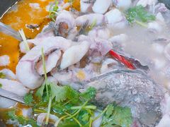 -大鼎石锅鱼(春江里店)