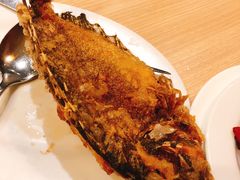 -Isla Sugbu Seafood City