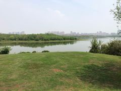 -盘龙城国家考古遗址公园