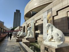 -上海博物馆(人民广场馆)