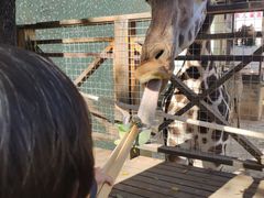 -昆明动物园