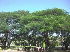 -日军最后司令部遗址