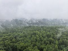 -汤旺河林海奇石景区