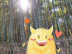 -杭州黄龙洞
