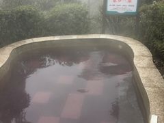 -江南天池高山汤泉城
