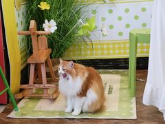 -氷冰凉刨冰甜品(北京路店)