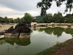 -巨鹰广场