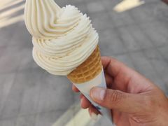 -一朵菌·野生菌探索家火锅(南亚店)