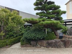 -南紀白浜 浜千鳥の湯 海舟