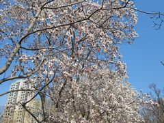 -白塘生态植物园