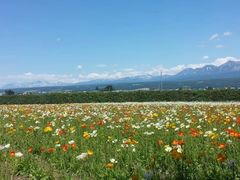 -富田农场