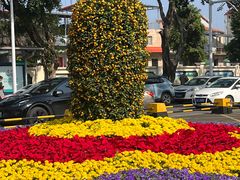 -水濂山森林公园