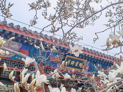 -颐和园