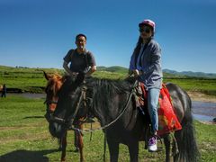 -塞罕坝国家级自然保护区