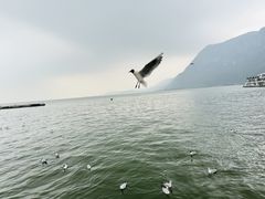 -捞渔河湿地公园