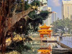-荔枝公园(福田区)